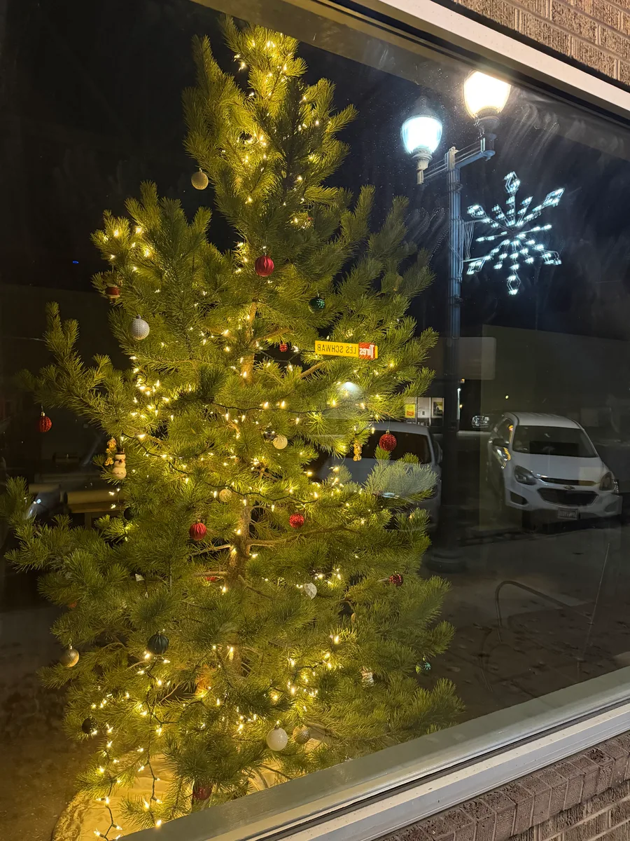 Step-and-repeat banner for a special event