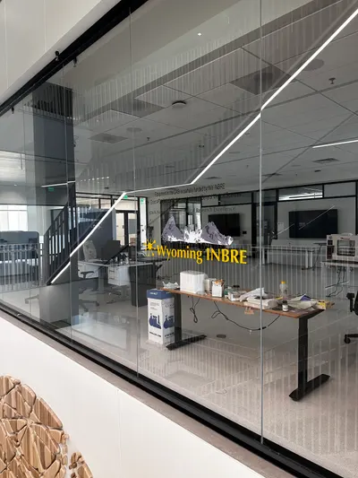 Window Graphics by American Paintbrush Signs & Graphics, Laramie Wyoming