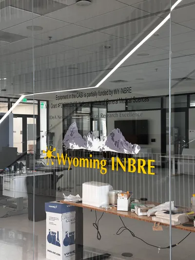 Window Graphics by American Paintbrush Signs & Graphics, Laramie Wyoming