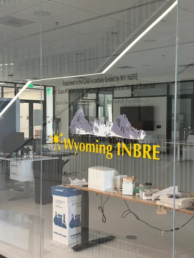 Window Graphics by American Paintbrush Signs & Graphics, Laramie Wyoming