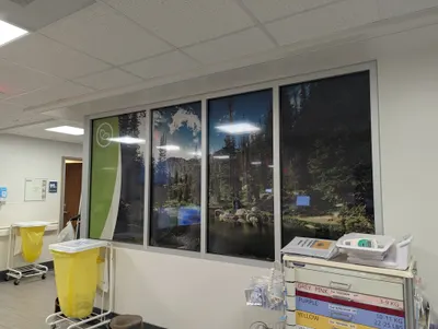 Window Graphics by American Paintbrush Signs & Graphics, Laramie Wyoming